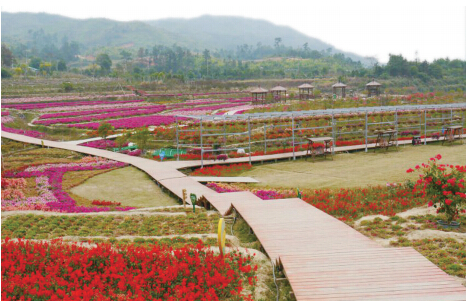 ���ȥ���Ϲ仨��