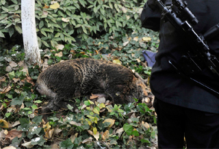 300��Ұ����·˺ҧ�̻����� �ؾ���ǹ׷��