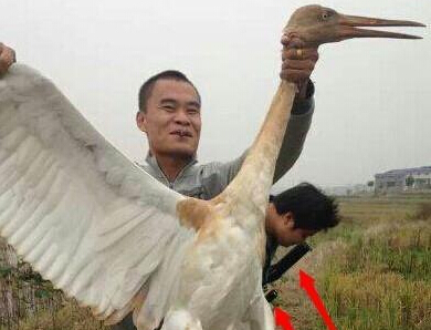 男子炫耀在西藏猎杀野生保护动物引众怒