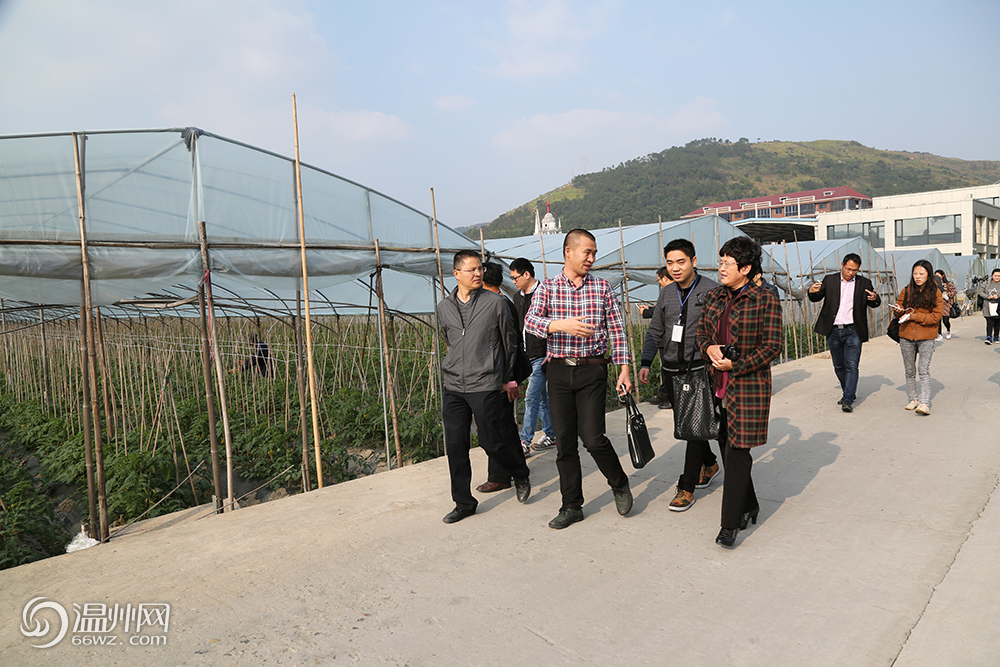 网媒探秘温州农业改革 聚焦现代农业服务