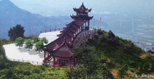 ���ſڶ���ɫ���� 29��ɭ�ֹ�԰������ѿ���