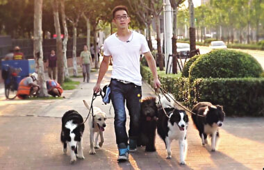 80��С�����ഴҵ ��������԰��ְҵѱ��ʦ