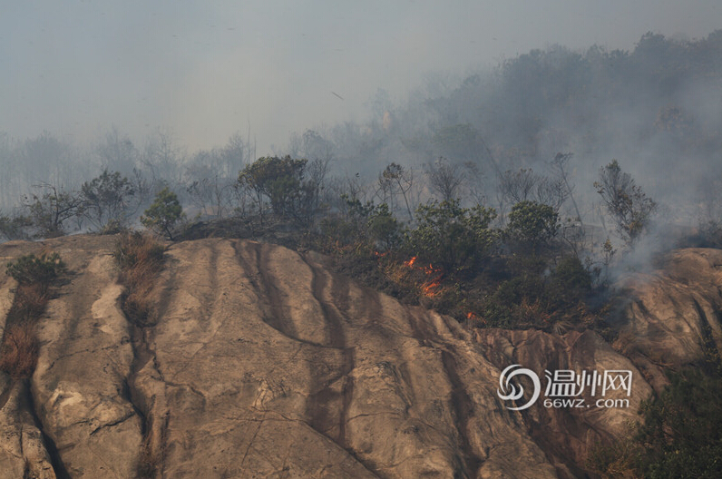 ��Ѷ�����ݴ���ɽ���ˮ����ڴ���������