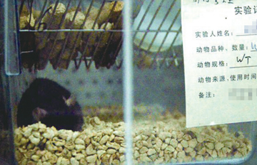 ��ҽ�����ݻ����ס��լ �Է�ר�˷�����