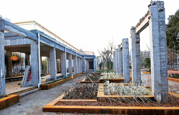 ����﹫԰���ɻ����ɹ�ҵ���� �ɳ����侰��