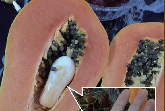 ľ�ϡ����С��п����ֹ��й� ר��:����ʳ��