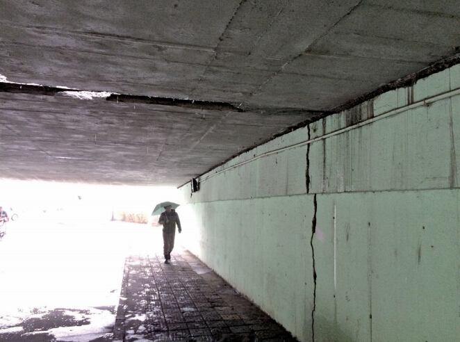 �����������Ŷ���10���׿��ѷ� �ֽ�ɼ�