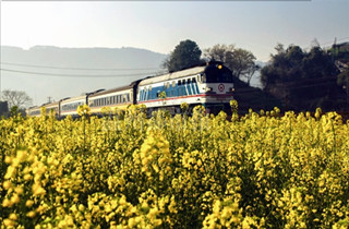 ���һ����Ƥ�𳵼���ͣ�� ����֤˫��֮��