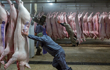 �����˲�ֻ���Ժ��� ȥ�껹����195.8���ͷ��