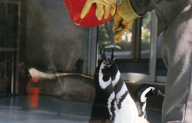 ̽�ض����ҹ���� �������㡰�����ơ�