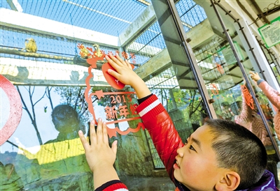 羊年新春鲜花走俏添喜气 红火年货有人气