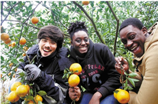 걺�걸̲�ժ�� ���������ѧ��ǰ����ժ