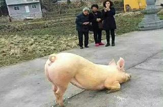 ����ʦ�֡���ǰ����Ϊ�İ�? ר�ң�����Ϊ��