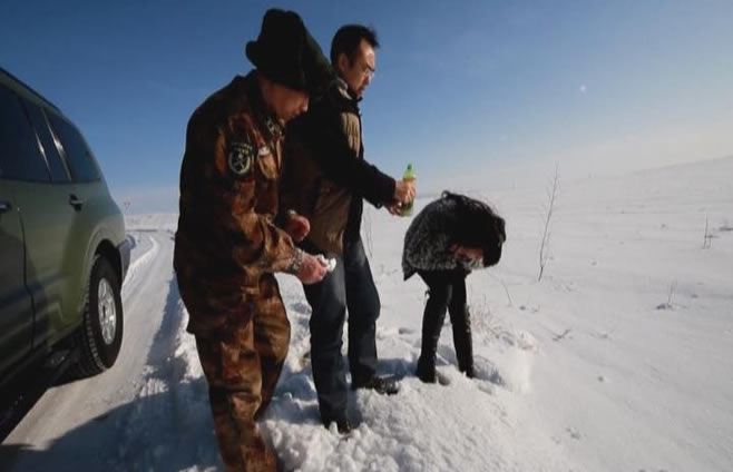 ����ѩ����8��7ҹ���������ɷ�