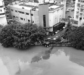 �����ӷ�����͡����ۡ� ����զ���£�