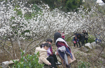 ̤���ͻ�����һ·����� �������ŵ�����