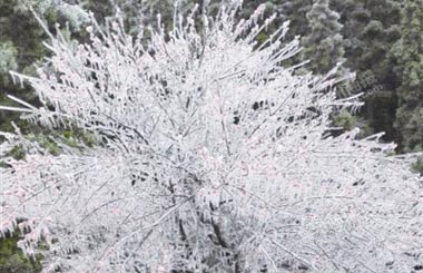 ͭ��ɽ������ڡ��� ���ܳ���ˮ��Ъ