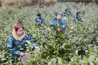 �����������������Ӱ�� ������ţ��ũ����æ