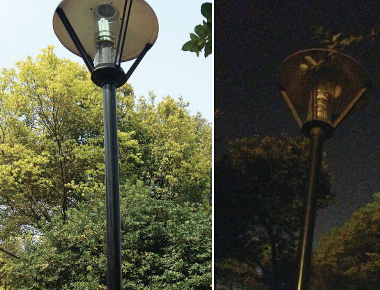 12盏路灯“日夜颠倒” 市民:白天不懂夜的黑