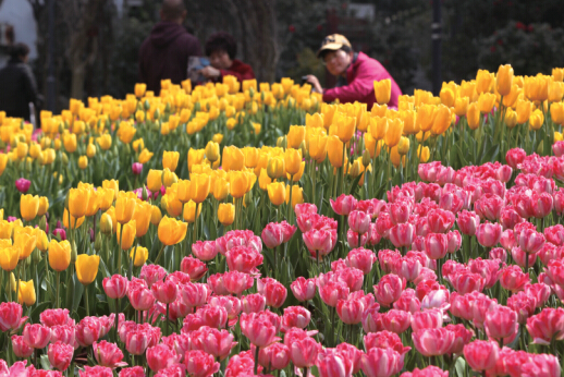 �����Ͳ˻��������� �����һ�Ѥ���ǳ�