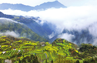 ����������� ����Ͳ˻�Ϊ�β�������С��ɽ