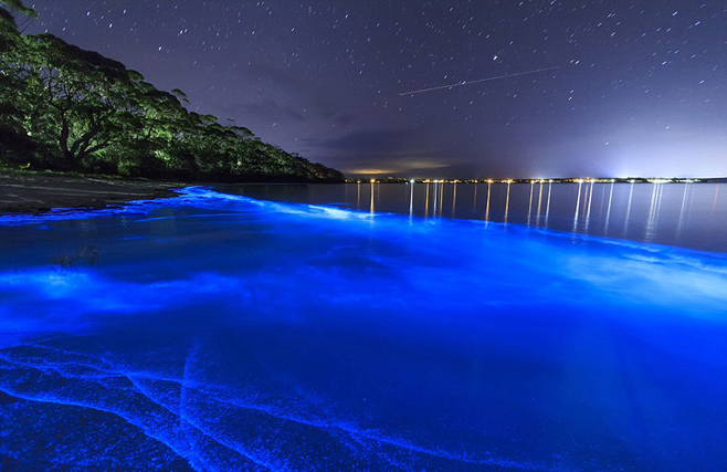 澳大利亚现蓝色荧光海滩 唯美如奇幻世界