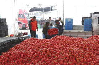 �������������ô�֡� 10��Ǯ����һ���