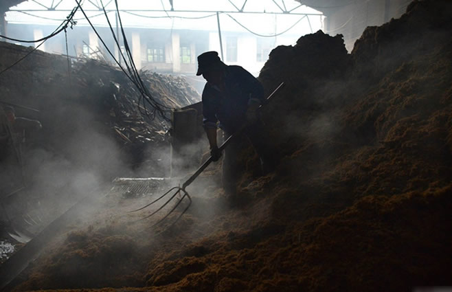 记者探访安徽竹炭加工厂 污水横流烟尘弥漫