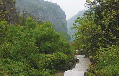 ��ĩ��ȥ��������������ɭ�ֹ�԰��ɽ̤��