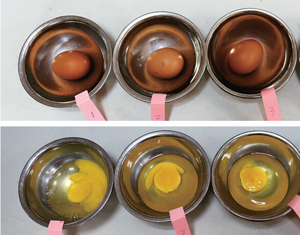 ���١������ƣ��������ƶ����� ������ˤ����