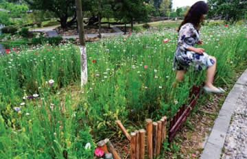 ���ӽ������飺��Щ�Ӻ������Ļ����ݲ��ǿ���