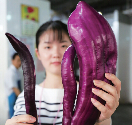 ��ĸ���ѡ��ַ����� ר�ҳƿ��Է���ʳ��