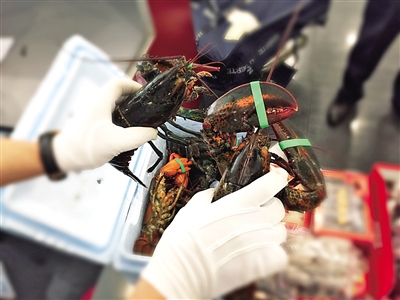 8ֻ��������Ϻֱ�Ӵ��ع���������