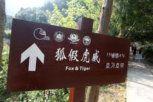 ���ٻ���=fox and tiger������ֱ�׷��뱻�²�