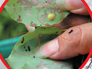 ���վ���������еĿݻ� �Ϫ���ذ���������