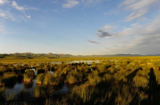 探访中国最美湿地――四川阿坝州若尔盖