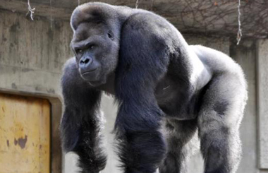 ���Դ��������ο��� Ů�ο�Ϊ֮���