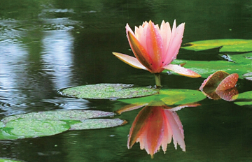 ���������ͺ�9����·�Ƽ���Լ��Լ��