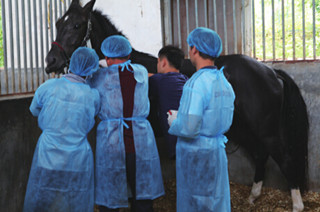 3ƥ���������ɡ������ݱ�սȫ�˻�