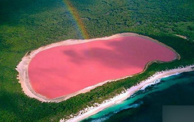 澳大利亚梦幻般粉红色湖泊 网友惊叹简直美哭