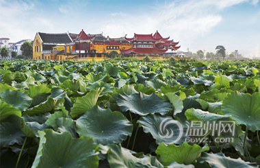 ¹���߶��ֵ����������ݽ����ġ���̬ˮ����