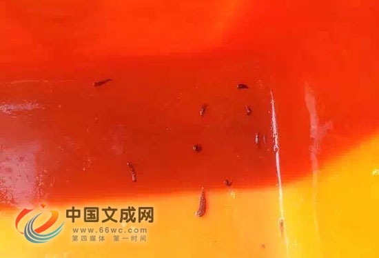 台风过后水质浑浊这样的自来水能喝吗?