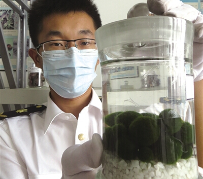 �����뾳�ʼ��ػ��ձ������� ��Ʒ�ּ��׷�ֳ