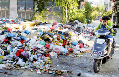 前天刚清理 南浦再次上演“垃圾围城”