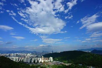 台风吹来“温州蓝” 出门吸氧“洗肺”去