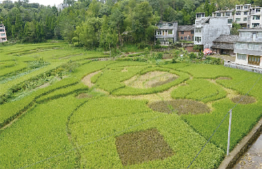 ���ȣ�����A�Ρ��ܽ����ĳɵ���