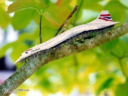 组图:揭秘未来高科技武器