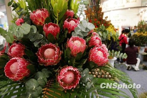 第七届花博会26日开幕 吉祥物东仔<em>亚妹</em>跑进香