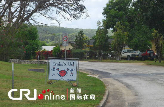 圣诞岛红蟹的迁徙故事(组图)