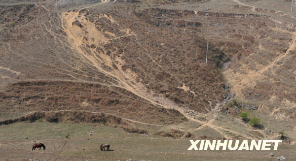 贵州部分地区石漠化治理因干旱陷入困境